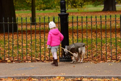 DSC_0696 (Large).JPG